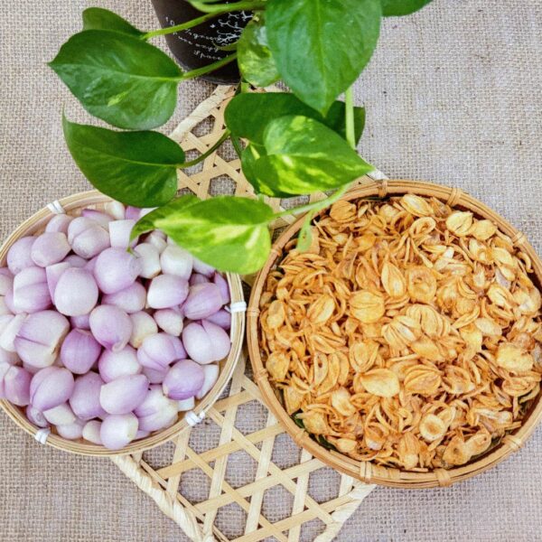 Hành Phi Bắc - Ảnh 3