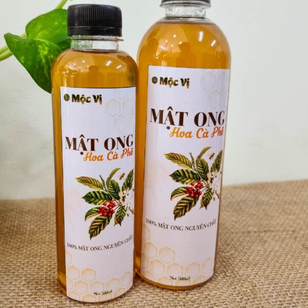 MẬT ONG HOA CÀ PHÊ - Ảnh 3