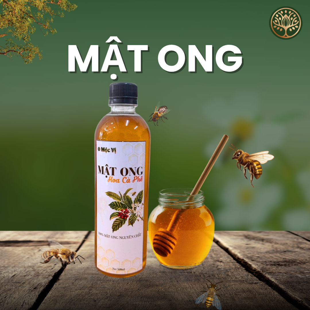 MẬT ONG HOA CÀ PHÊ
